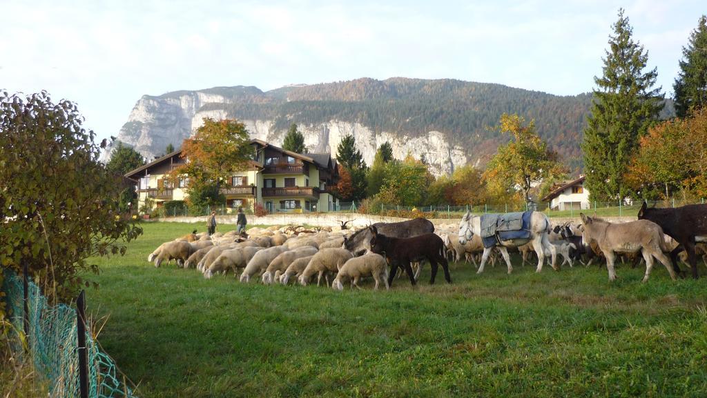 Ferienwohnung Casa Dal Ri' Fai della Paganella Exterior foto
